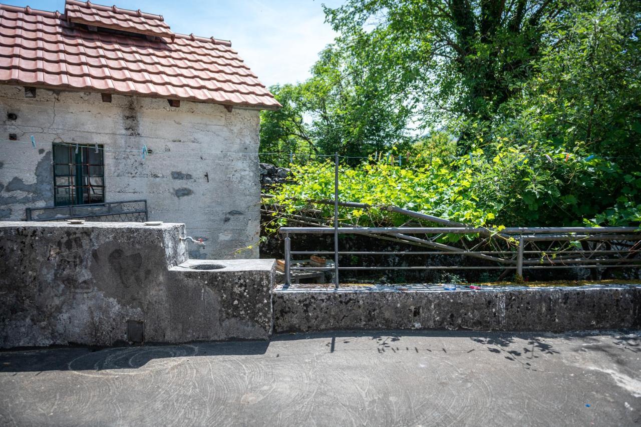 Guest House Gornji Ceklin Cetinje Bagian luar foto