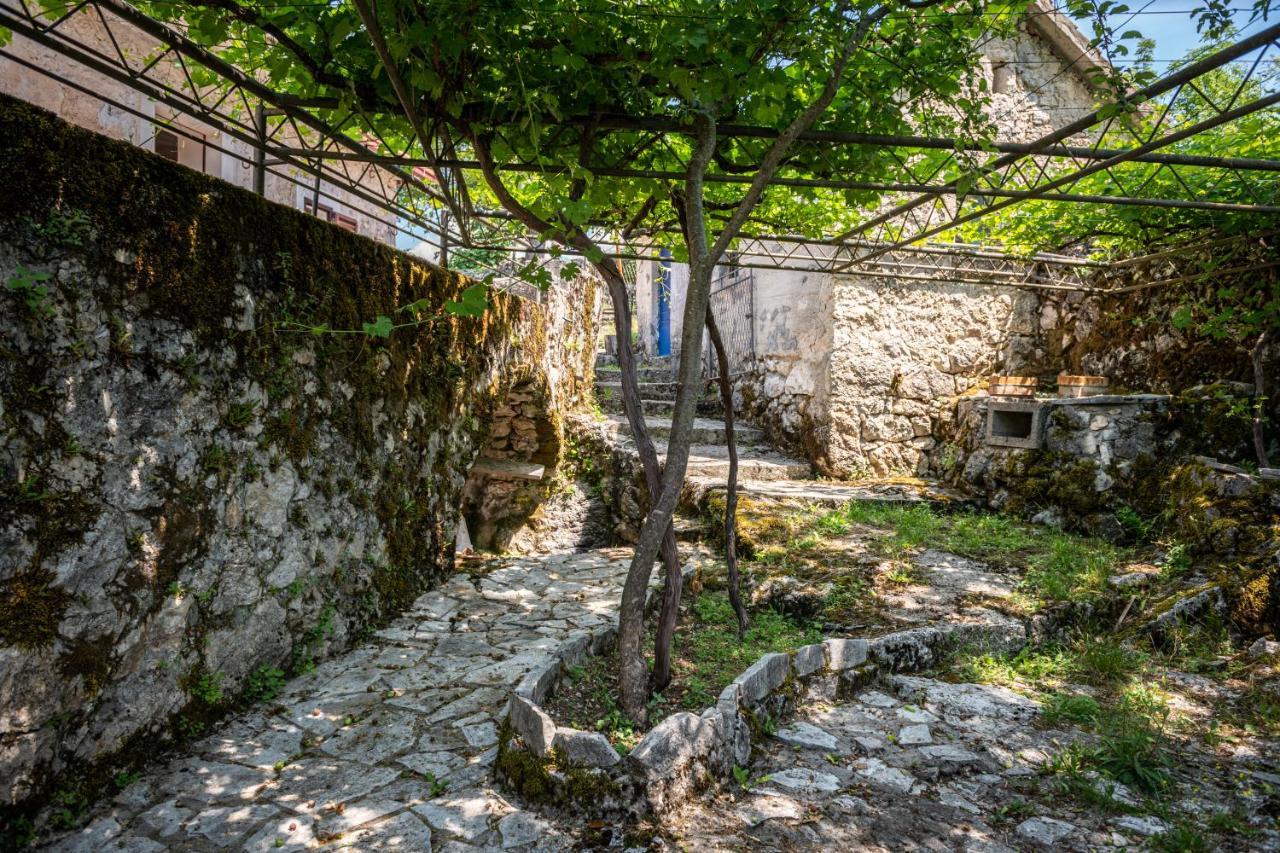 Guest House Gornji Ceklin Cetinje Bagian luar foto