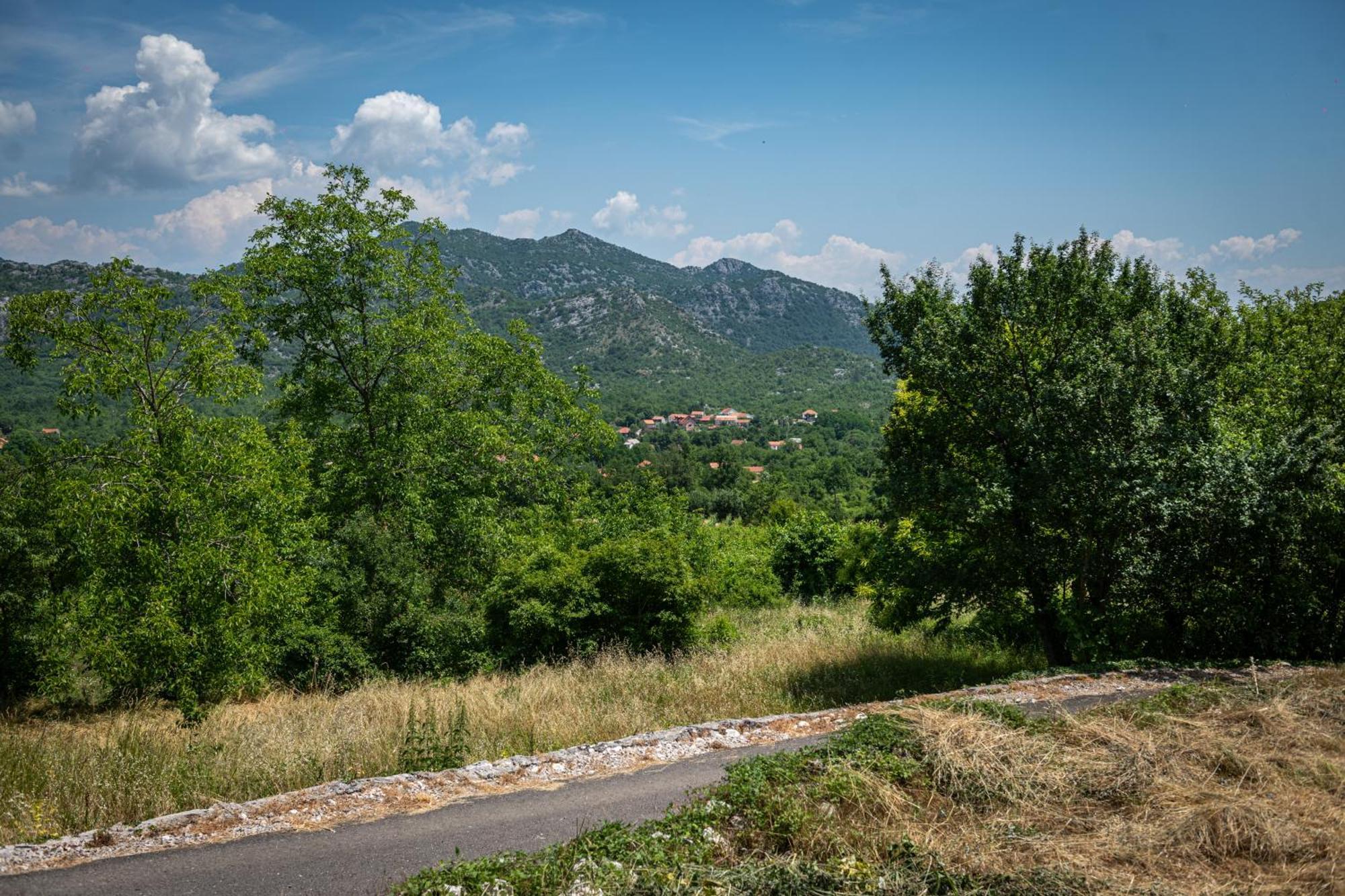 Guest House Gornji Ceklin Cetinje Bagian luar foto